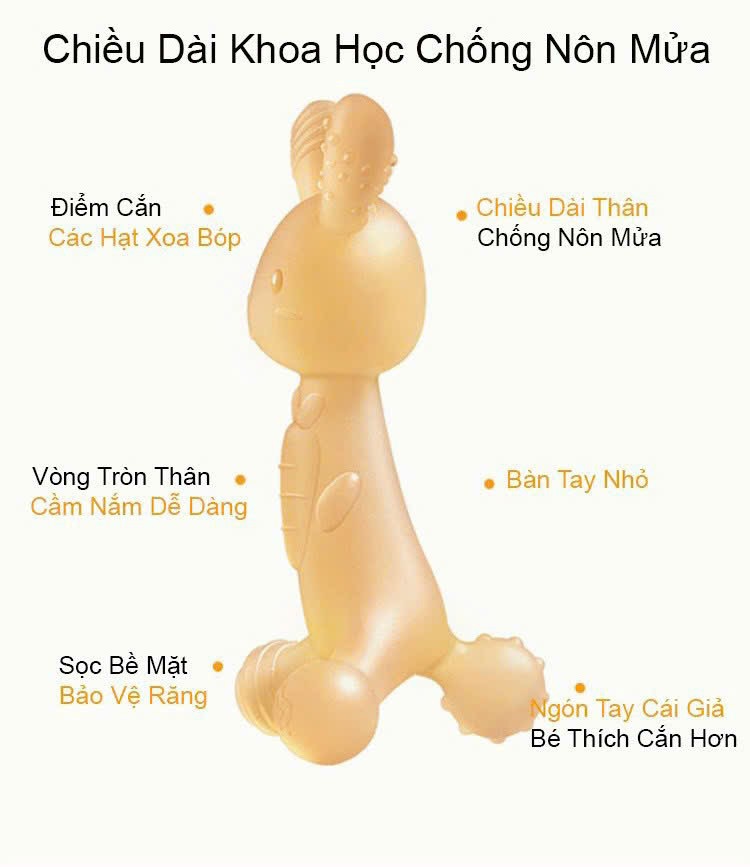 Gặm nướu thỏ