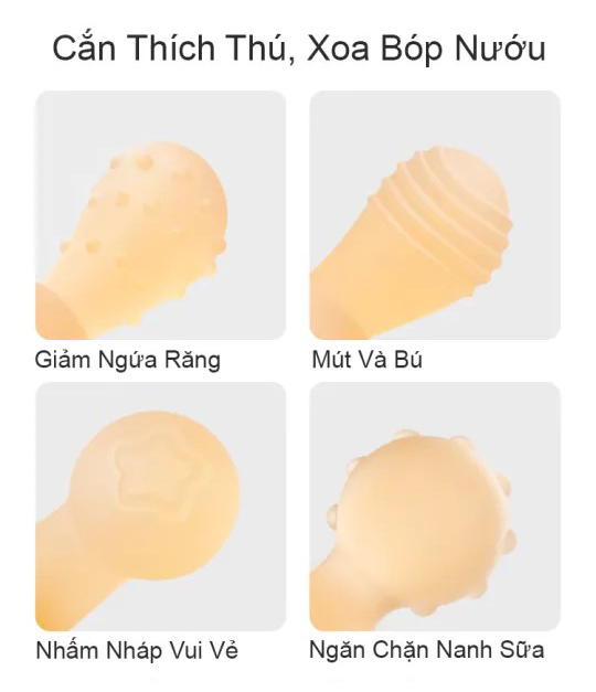 Gặm nướu thỏ