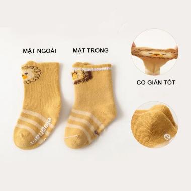 Hình phụ